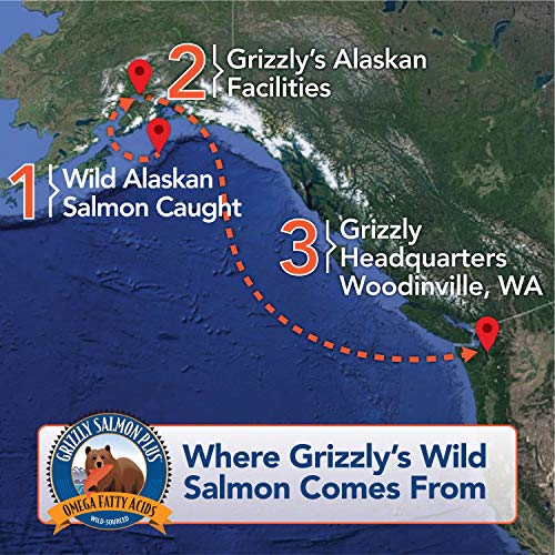 Grizzly Salmon Oil All-Natural Dog Food Supplement in Pump-Bottle Dispenser