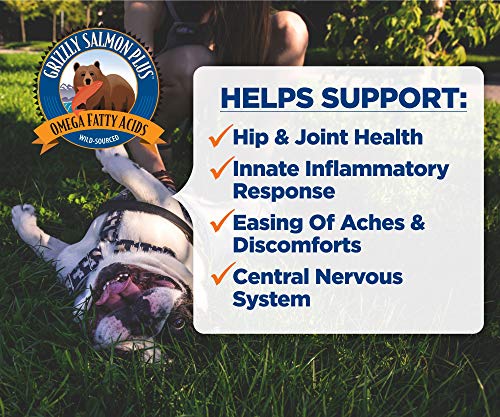 Grizzly Salmon Oil All-Natural Dog Food Supplement in Pump-Bottle Dispenser
