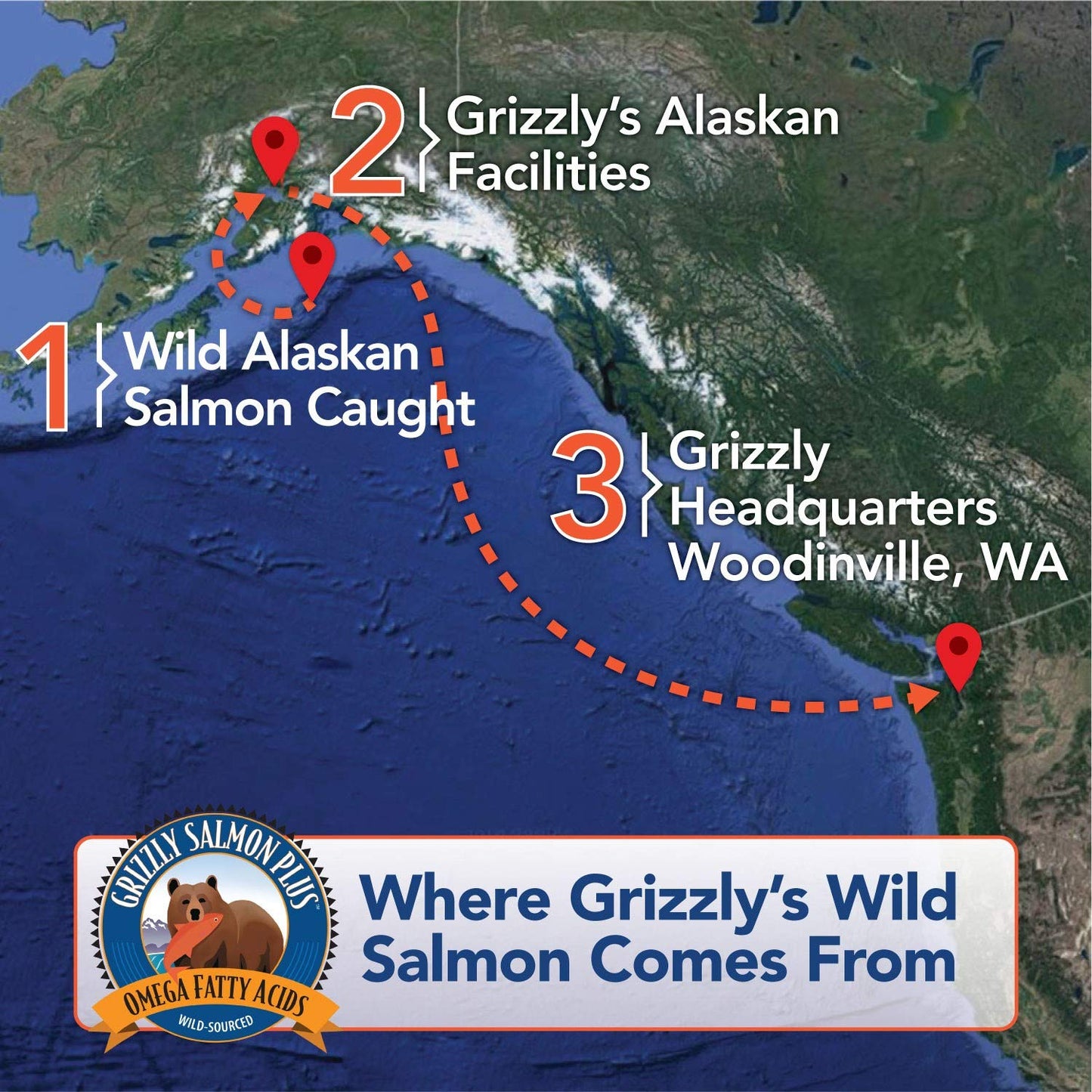 Grizzly Salmon Oil All-Natural Dog Food Supplement in Pump-Bottle Dispenser