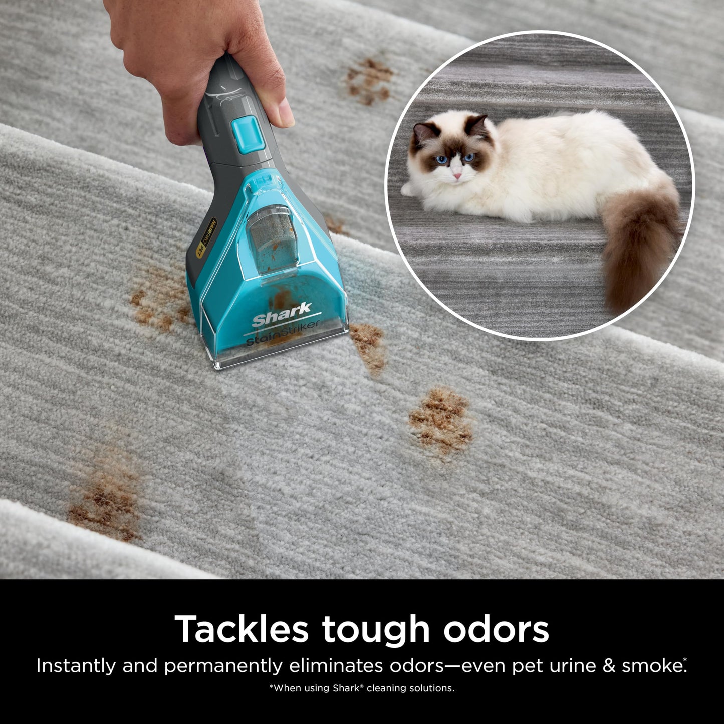 Shark EXCM48 CarpetXpert Deep Clean Pro Formula for Shark Upright & Portable Carpet cleaners, formulated for all carpets, upholstery & area rugs, eliminates tough pet messes and odors, 48oz