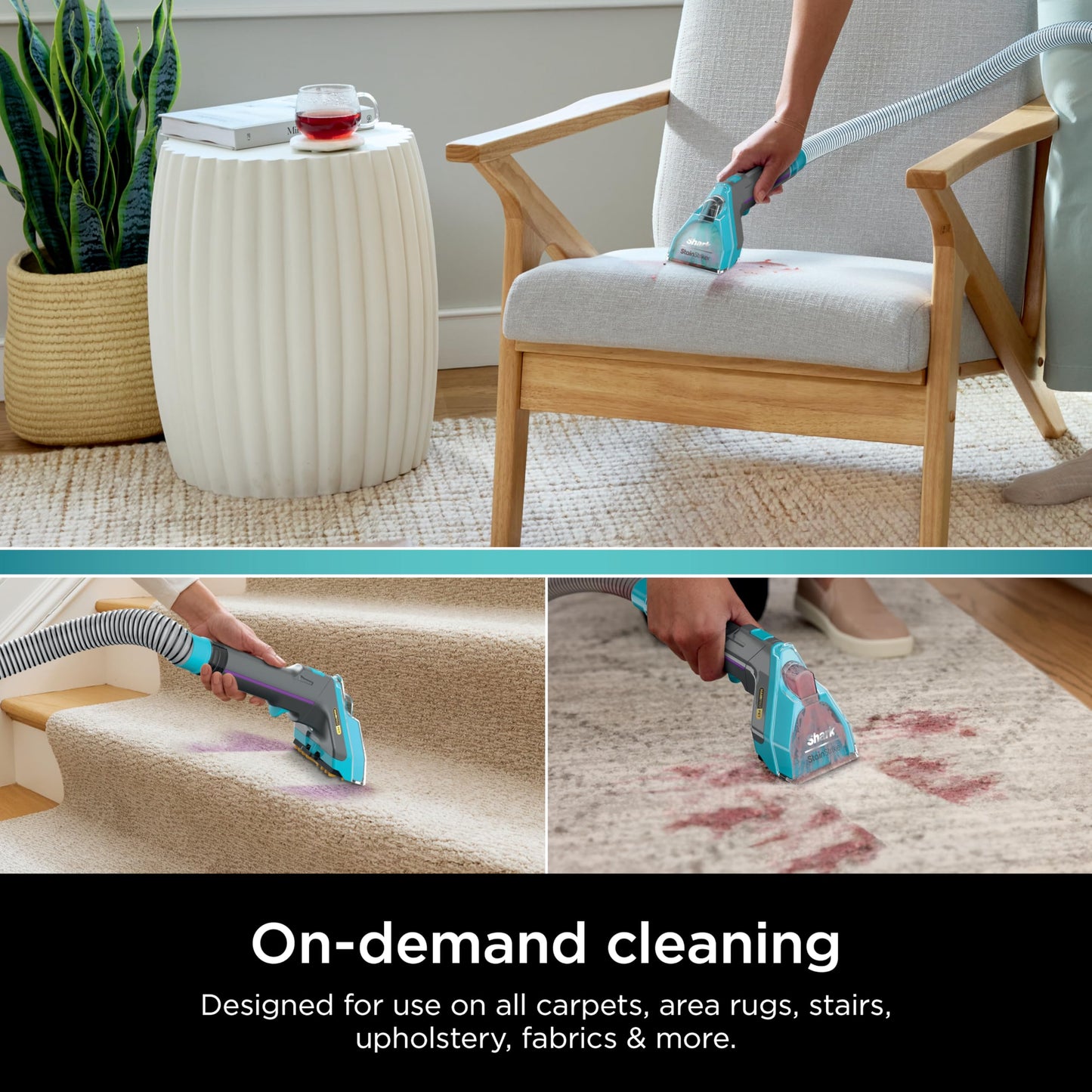 Shark EXCM48 CarpetXpert Deep Clean Pro Formula for Shark Upright & Portable Carpet cleaners, formulated for all carpets, upholstery & area rugs, eliminates tough pet messes and odors, 48oz