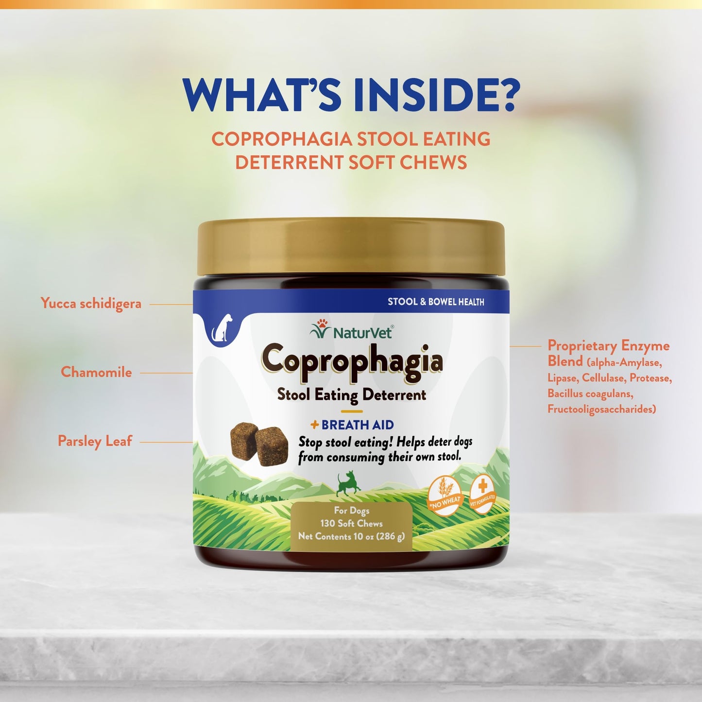 NaturVet – Coprophagia Stool Eating Deterrent – Deters Dogs from Consuming Stool – No Poop Eating for Dogs - Enhanced with Breath Aid Freshener, Enzymes & Probiotics – 130 Soft Chews