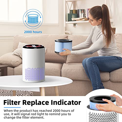Levoit Air Purifier For Home & Office Dual H13 True HEPA Filter